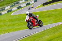 cadwell-no-limits-trackday;cadwell-park;cadwell-park-photographs;cadwell-trackday-photographs;enduro-digital-images;event-digital-images;eventdigitalimages;no-limits-trackdays;peter-wileman-photography;racing-digital-images;trackday-digital-images;trackday-photos